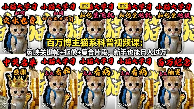百万博主猫系科普视频课：剪映关键帧+抠像+复合片段，新手也能月入过万-资源宝库