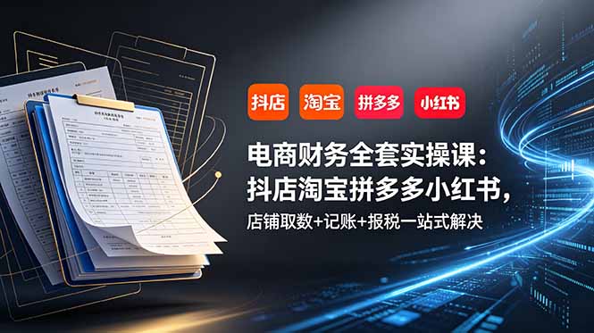 电商财务全套实操课：抖店淘宝拼多多小红书，店铺取数+记账+报税一站式解决-资源宝库