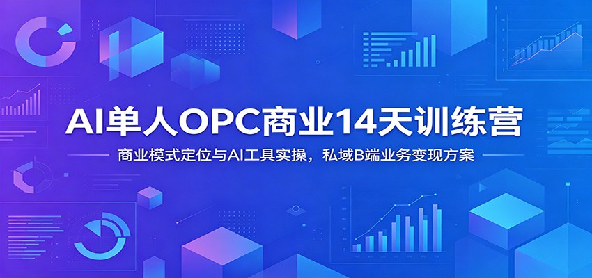 AI单人OPC商业14天训练营：商业模式定位与AI工具实操，私域B端业务变现方案-资源宝库