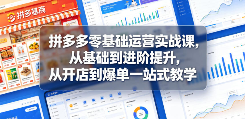 拼多多零基础运营实战课，从基础到进阶提升，从开店到爆单一站式教学-资源宝库