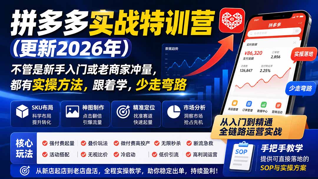 拼多多实战特训营(更新26年0831-资源宝库