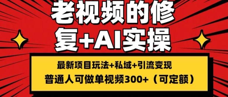 修复老视频的玩法，搬砖+引流的变现(可持久)，单条收益300+【揭秘】-资源宝库