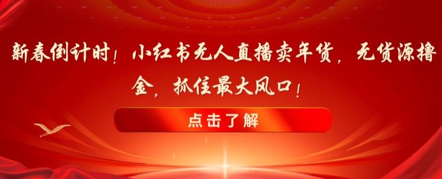 新春倒计时！小红书无人直播卖年货，无货源撸金，抓住最大风口【揭秘】-资源宝库