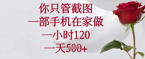 你只管截图，一部手机在家做，一小时120.一天5张【揭秘】-资源宝库