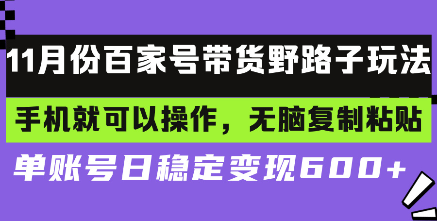 百家号带货野路子玩法 手机就可以操作，无脑复制粘贴 单账号日稳定变现...-资源宝库