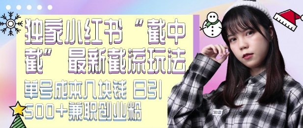最新小红书截流玩法 独家截中截 单号成本几块钱 日引500+CY粉JZ粉-资源宝库