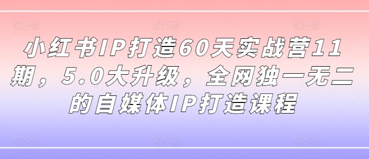 小红书IP打造60天实战营11期,5.0大升级,全网独一无二的自媒体IP打造课程