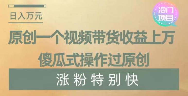 原创一个视频带货收益上万，傻瓜式操作过原创，几分钟做一个视频涨粉特别快【揭秘】-资源宝库