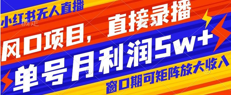 风口项目，小红书无人直播带货，直接录播，可矩阵，月入5w+【揭秘】-资源宝库