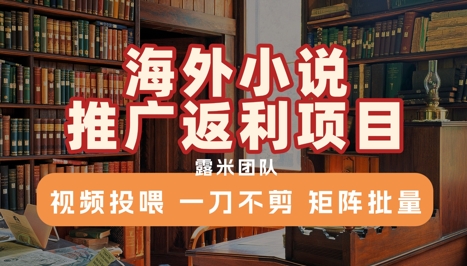 海外小说推广返利项目，视频投喂， 一刀不剪，矩阵批量-资源宝库