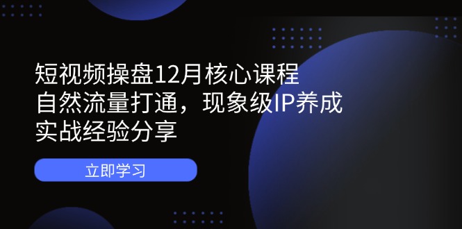 短视频操盘12月核心课程：自然流量打通，现象级IP养成，实战经验分享-资源宝库