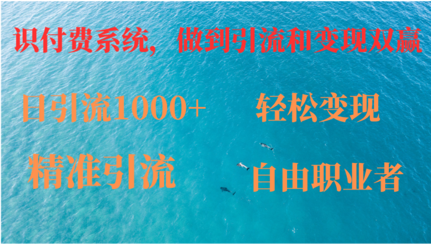 如何搭建自己的知识付费系统，做到引流和变现双赢-资源宝库