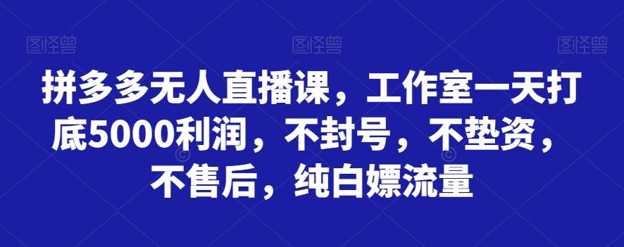 拼多多无人直播课，工作室一天打底5000利润，不封号，不垫资，不售后，纯白嫖流量-资源宝库