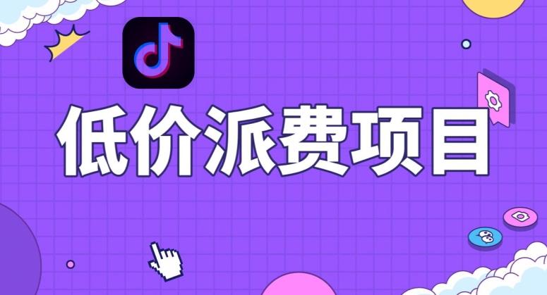 抖音低价派单项目，0门槛，日入1000+很轻松，小白可操作【揭秘】-资源宝库