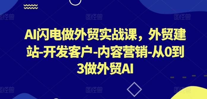 AI闪电做外贸实战课，​外贸建站-开发客户-内容营销-从0到3做外贸AI-资源宝库