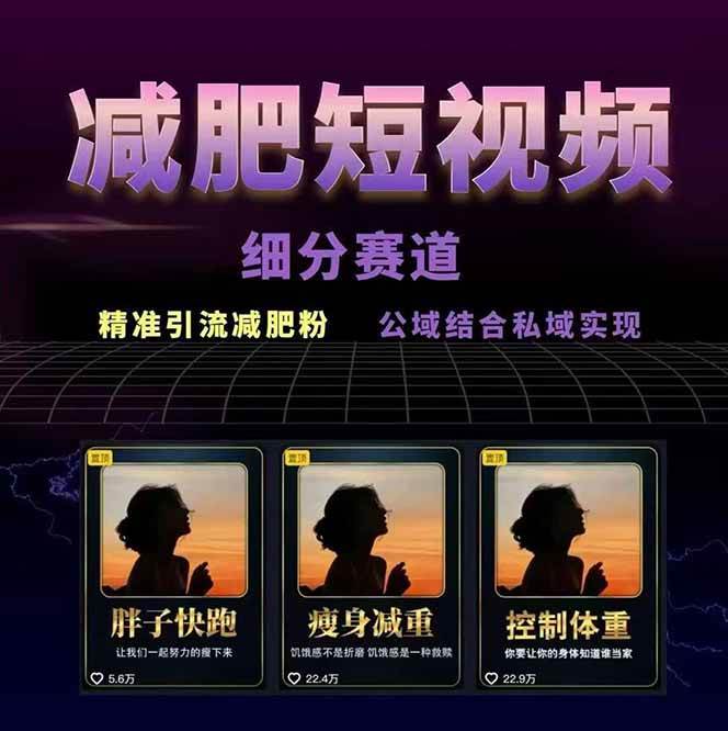 图片[2]-减肥短视频运营实战课：含素材制作、剪映教学，讲精准引流、变现设计与内容模板技巧-资源宝库
