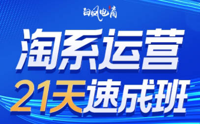 白凤电商·淘系运营21天速成班(更新8月)-资源宝库