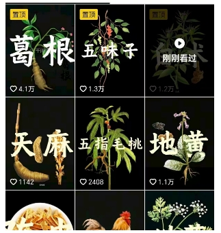 抖音中草药赛道,用AI做中草药故事视频,45条作品涨粉13W,橱窗带货猛猛出单