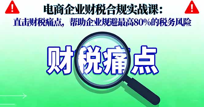 电商企业财税合规实战课，直击财税痛点，帮助企业规避最高80%的税务风险-资源宝库