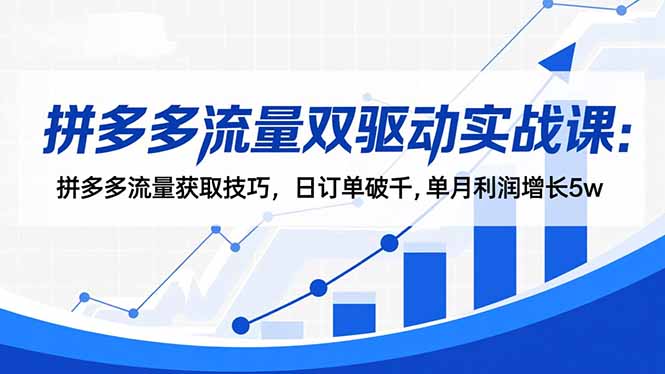拼多多流量双驱动实战课：拼多多流量获取技巧，日订单破千,单月利润增长5w-资源宝库
