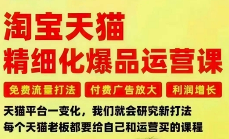 淘宝天猫精细化爆品运营课，免费流量打法-付费广告放大-利润增长-三大核心痛点，一次全部解决-资源宝库