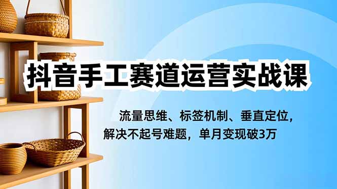 抖音手工赛道运营实战课，流量思维、标签机制、垂直定位，解决不起号难题，单月变现破3万-资源宝库