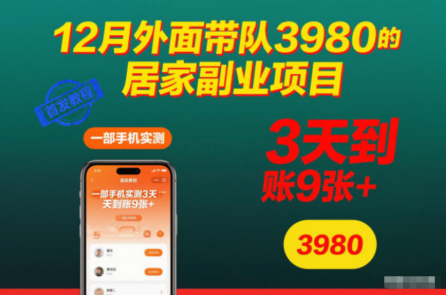 12月外面带队3980的居家副业项目，一部手机实测3天到账9张+，首发教程【揭秘】-资源宝库