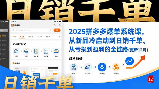 2025拼多多爆单系统课，从新品冷启动到日销千单、从亏损到盈利的全链路(更新12月-资源宝库