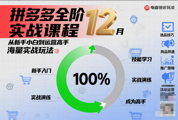 拼多多全阶实战课程12月，从新手小白到运营高手，海量实战玩法-资源宝库