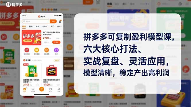 拼多多可复制盈利模型课，六大核心打法、实战复盘、灵活应用，模型清晰，稳定产出高利润-资源宝库