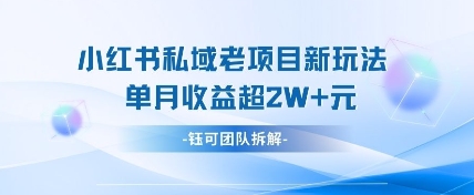小红书私域项目新玩法，单月变现过W+-资源宝库