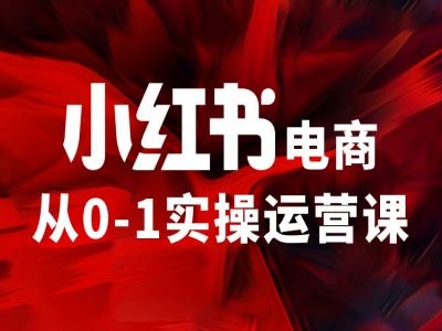 小红书电商从0-1实操运营课，让你从小白到精英-资源宝库