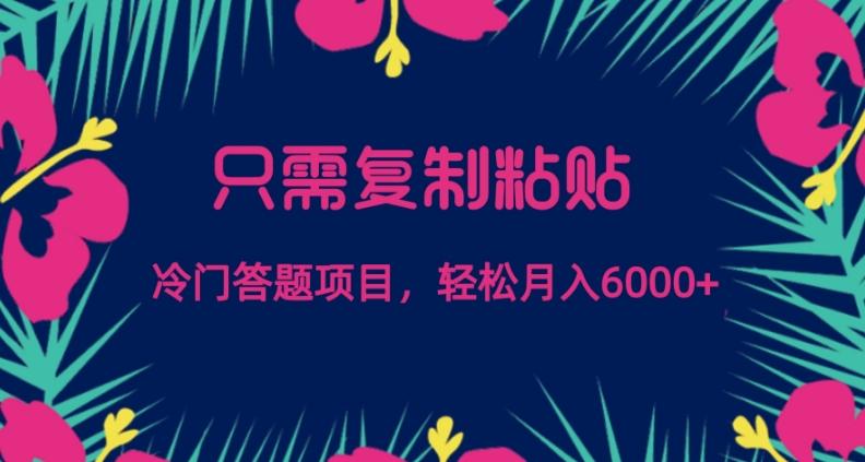 只需复制粘贴，冷门答题项目，轻松月入6000-资源宝库