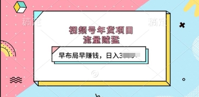 视频号年货项目，流量贼猛，早布局早挣钱，日入上k【揭秘】-资源宝库