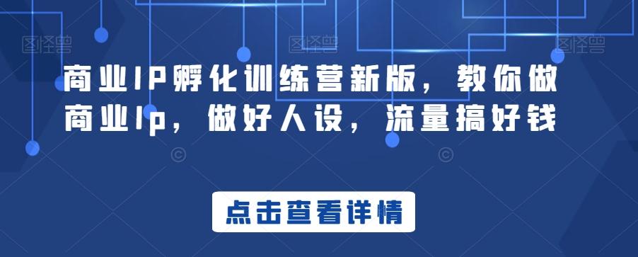商业IP孵化训练营新版，教你做商业Ip，做好人设，流量搞好钱-资源宝库