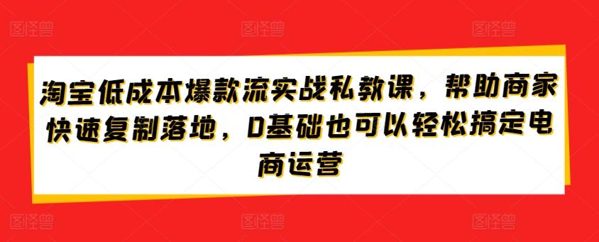 淘宝低成本爆款流实战私教课，帮助商家快速复制落地，0基础也可以轻松搞定电商运营-资源宝库