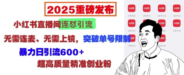 2025重磅发布：小红书直播间连怼引流，无需连麦、无需上镜，突破单号限制，暴力日引流600+-资源宝库