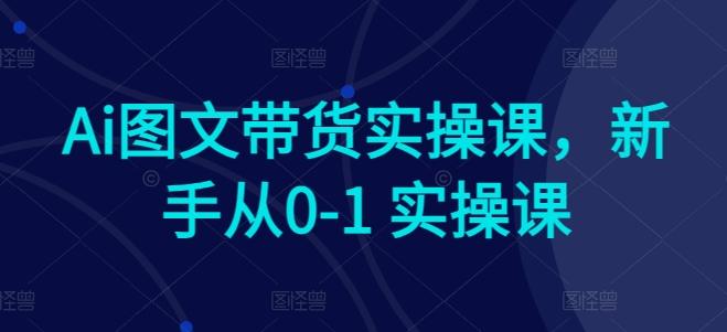 Ai图文带货实操课，新手从0-1 实操课-资源宝库