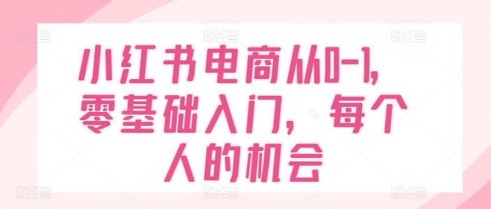 小红书电商从0-1,零基础入门,每个人的机会