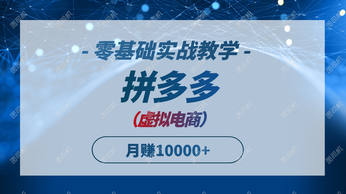 拼多多虚拟电商，零基础实战教学，快速打爆商品，新手也能月入10000+-资源宝库