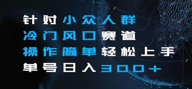针对小众人群冷门风口赛道，操作简单轻松上手单号日入300+-资源宝库