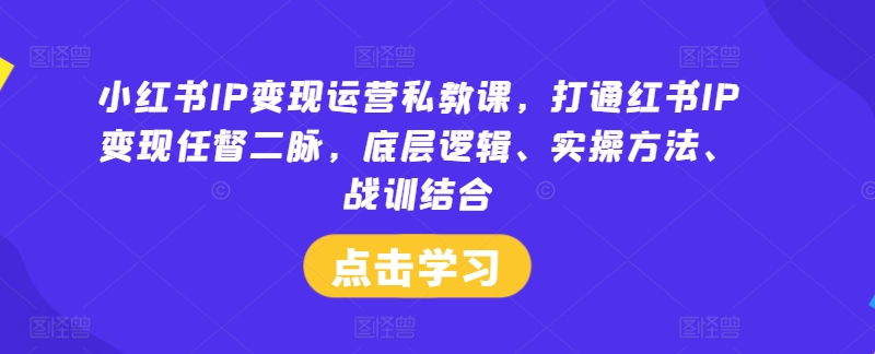 小红书IP变现运营私教课，打通红书IP变现任督二脉，底层逻辑、实操方法、战训结合-资源宝库