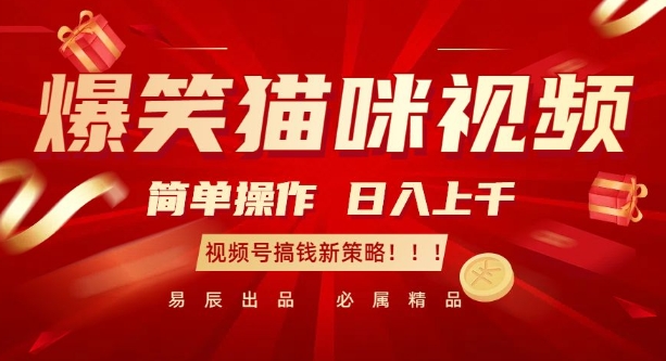 爆笑猫咪视频：简单操作，日入过K，视频号搞钱新策略【揭秘】-资源宝库