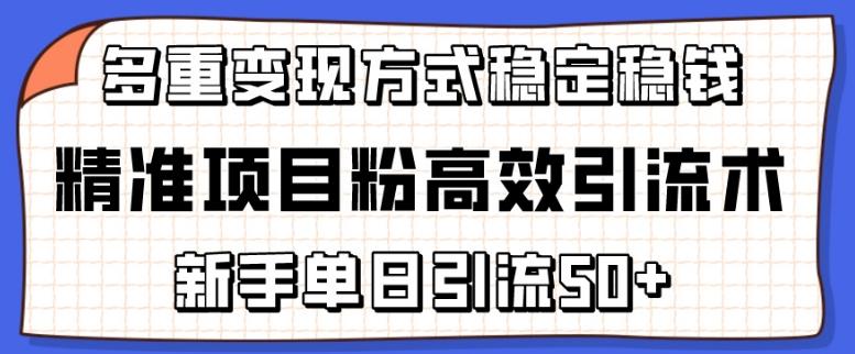 精准项目粉高效引流术，新手单日引流50+，多重变现方式稳定赚钱【揭秘】-资源宝库