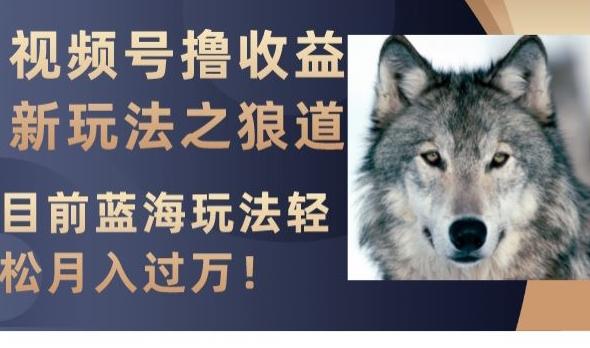 视频号撸收益新玩法之狼道,目前蓝海玩法,轻松月入过万【揭秘】