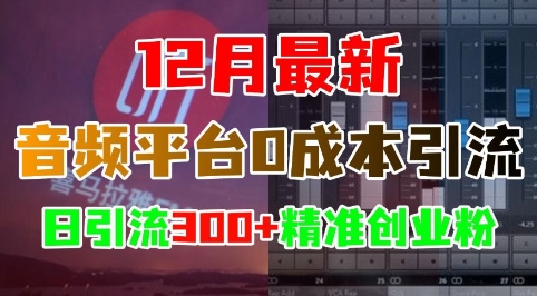 12月最新：音频平台0成本引流，日引流300+精准创业粉-资源宝库