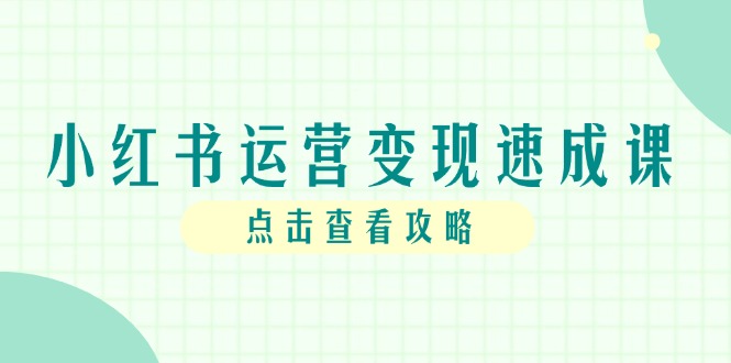 小红书运营变现速成课，账号搭建到暴力起号，个人IP全流程指南-资源宝库