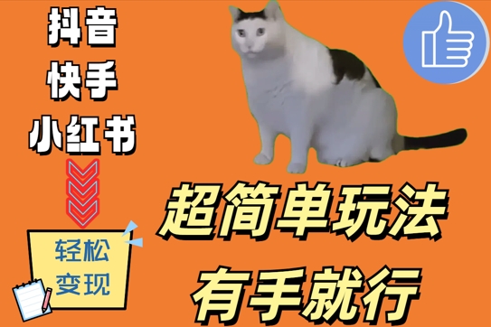 超简单玩法，有手就行，靠猫咪视频日入500+【揭秘】-资源宝库