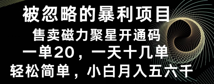 被忽略的暴利项目!售卖磁力聚星开通码,一单20,一天十几单,轻松月入五六千