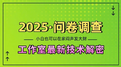 2025问卷调查最新工作室技术解密:一个人在家也可以闷声发大财,小白一天2张,可矩阵放大【揭秘】